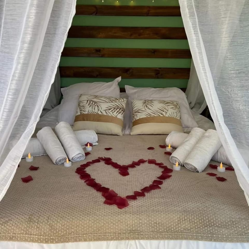 ESCAPE ZEN Oasis tropicale & Spa privatif Villa in Hauts-de-France