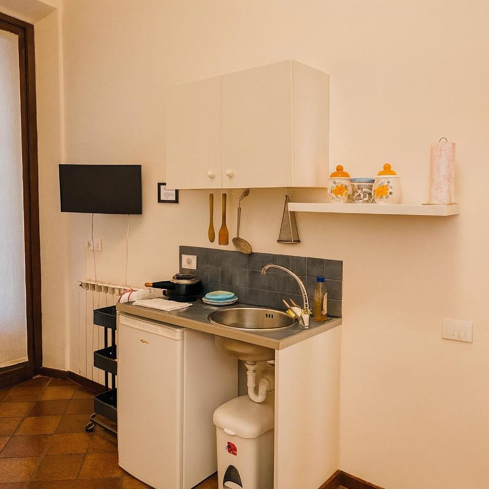 Loft Ortensia garden WiFi air conditioning Apartment in Florence