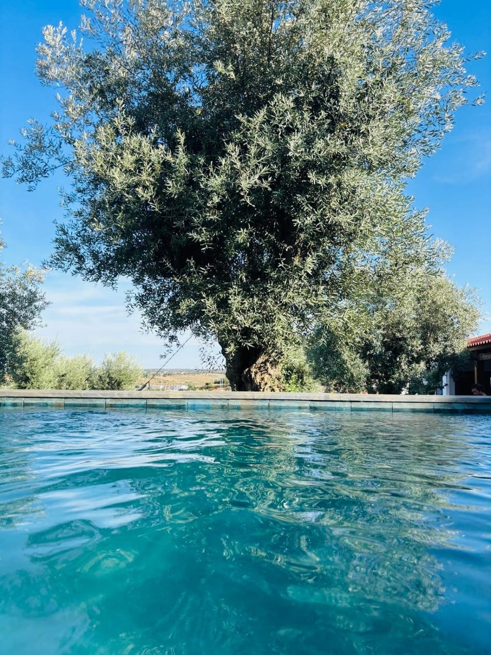 Day, Natural landscape, Pool view, Swimming pool