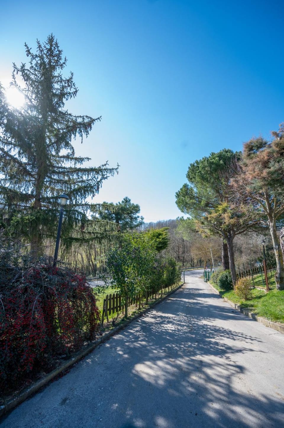 Property building, Spring, Day, Natural landscape
