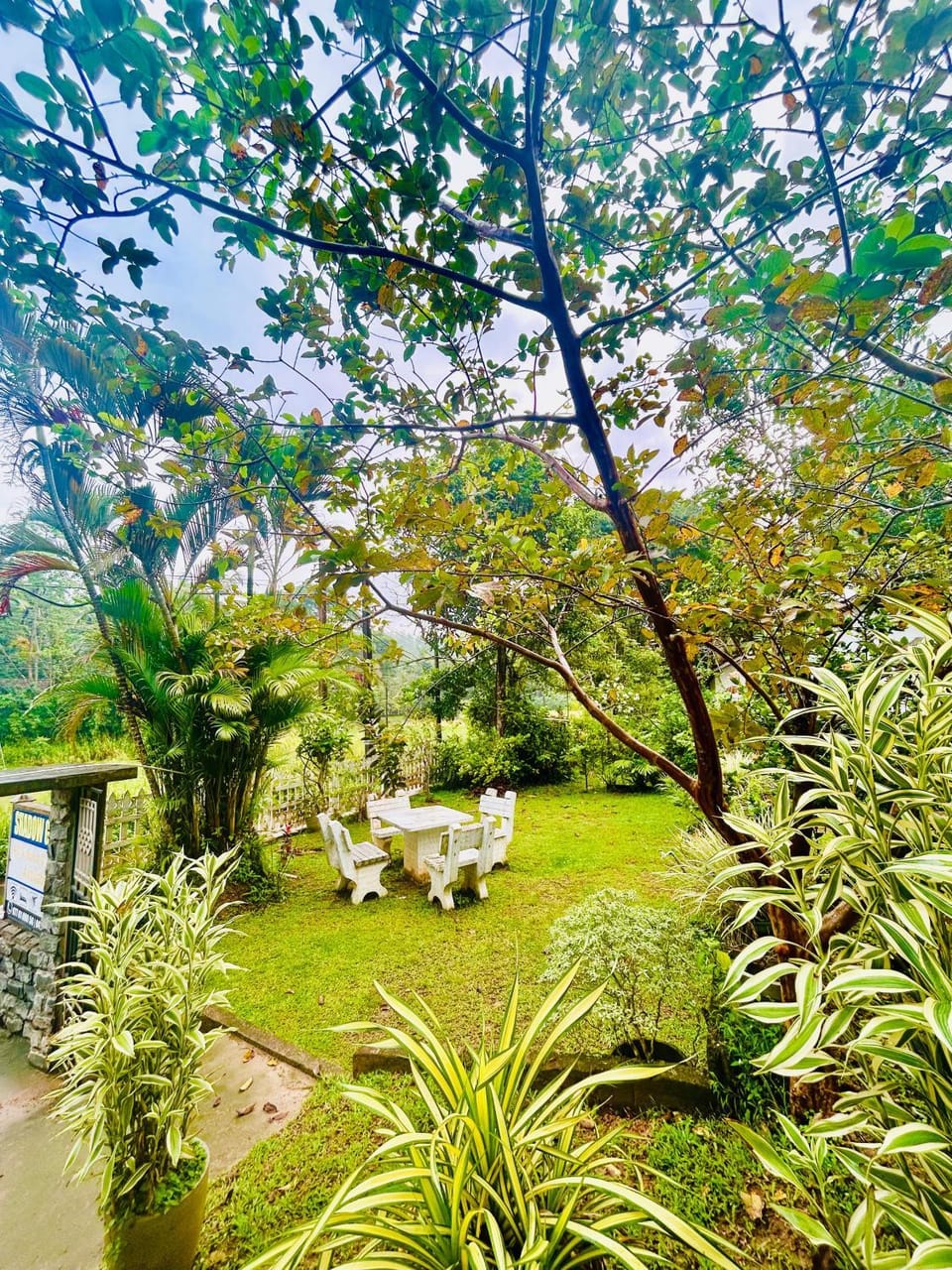 Garden, Seating area, Garden view