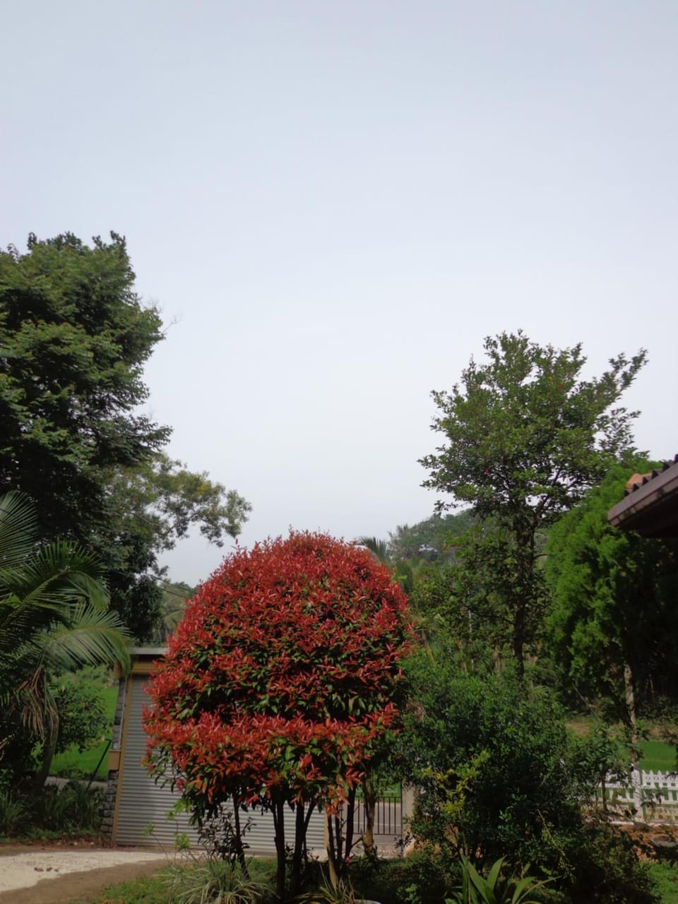 Natural landscape, Garden