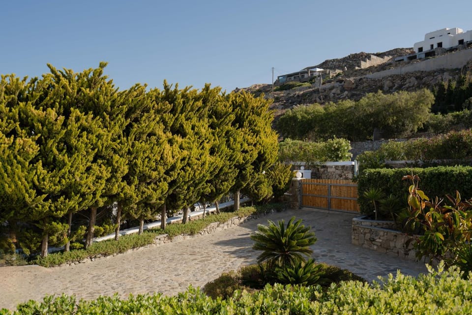 Day, Garden view