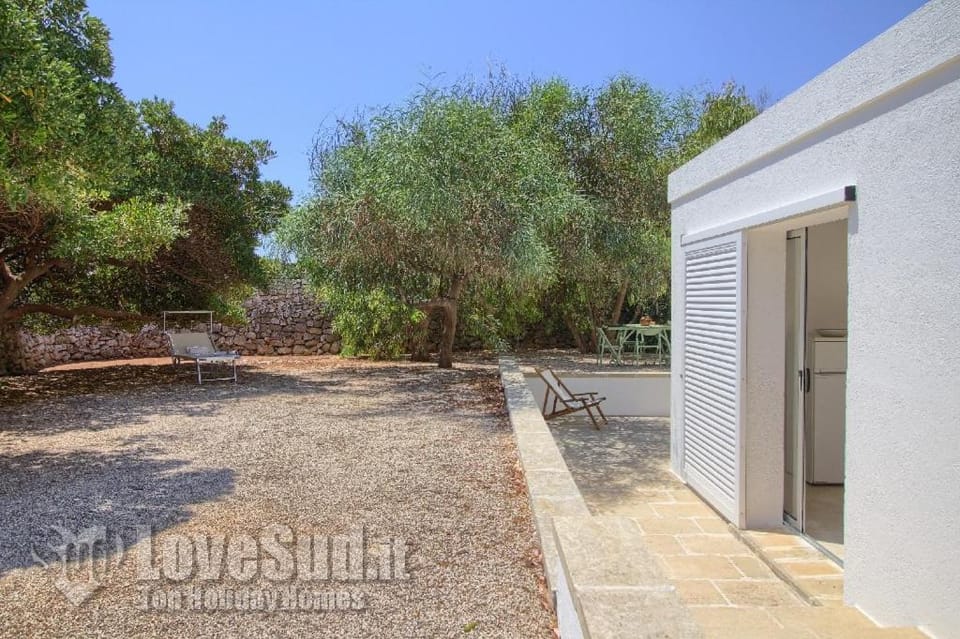 Day, Garden, Garden view
