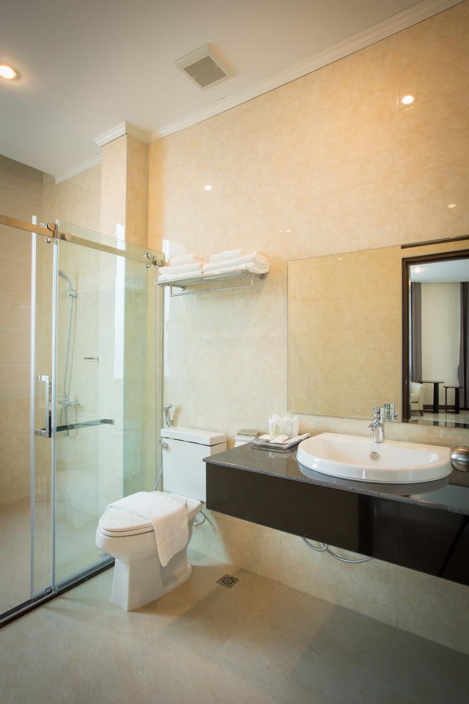 Shower, Toilet, Bathroom, towels