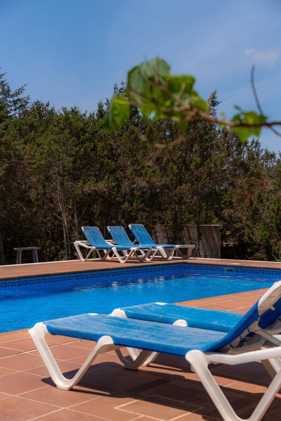 Day, Pool view, Swimming pool, sunbed