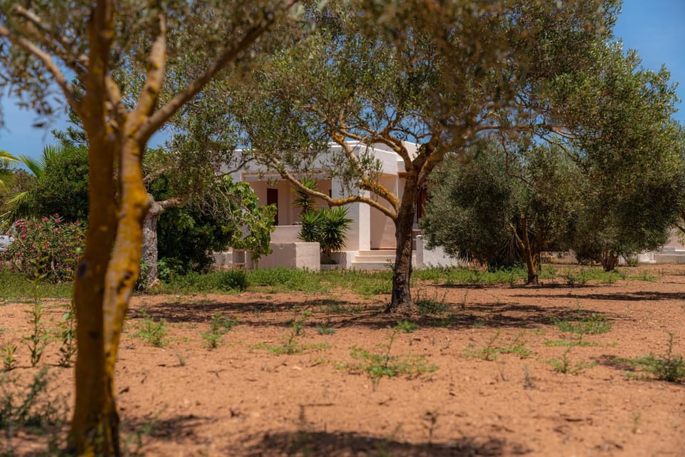 Spring, Day, Natural landscape, Garden, Garden view
