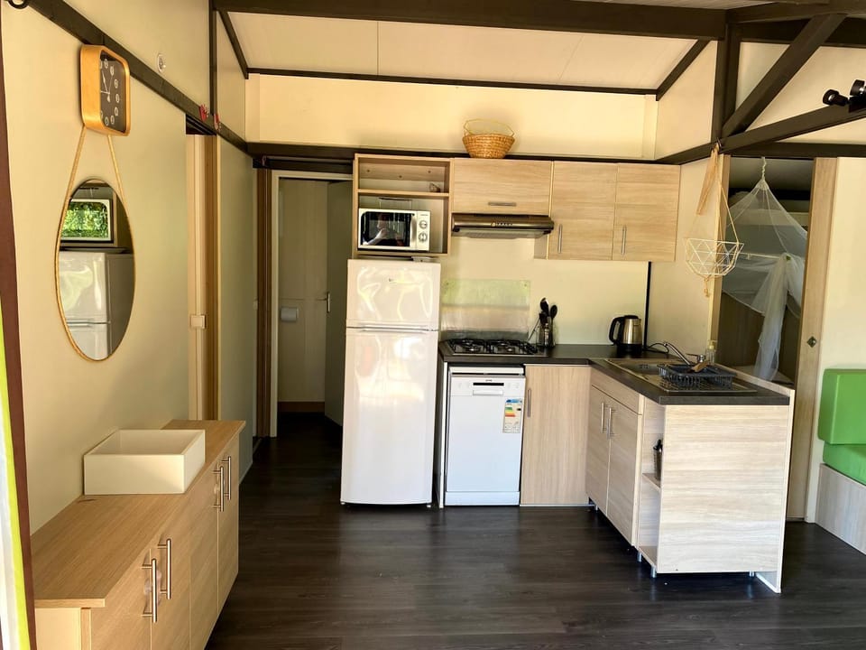 Kitchen or kitchenette, dishwasher, stove