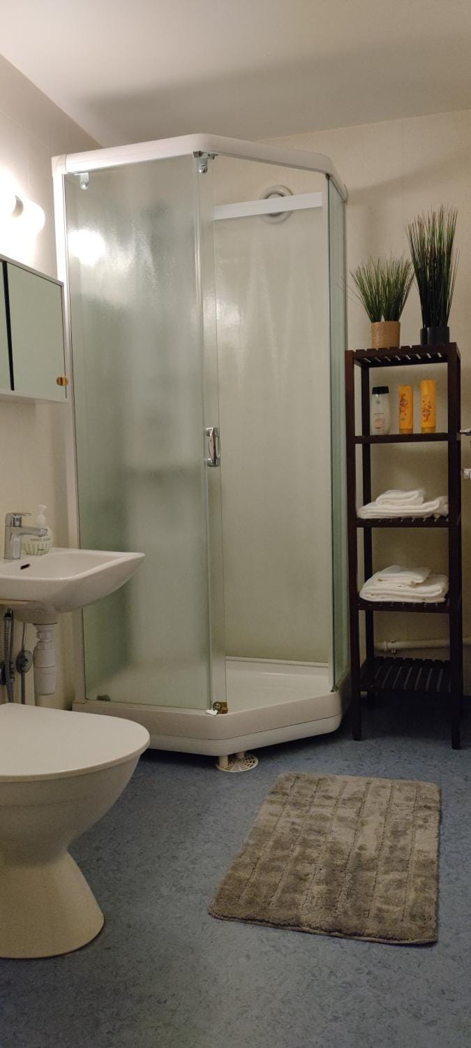Shower, Bathroom, towels