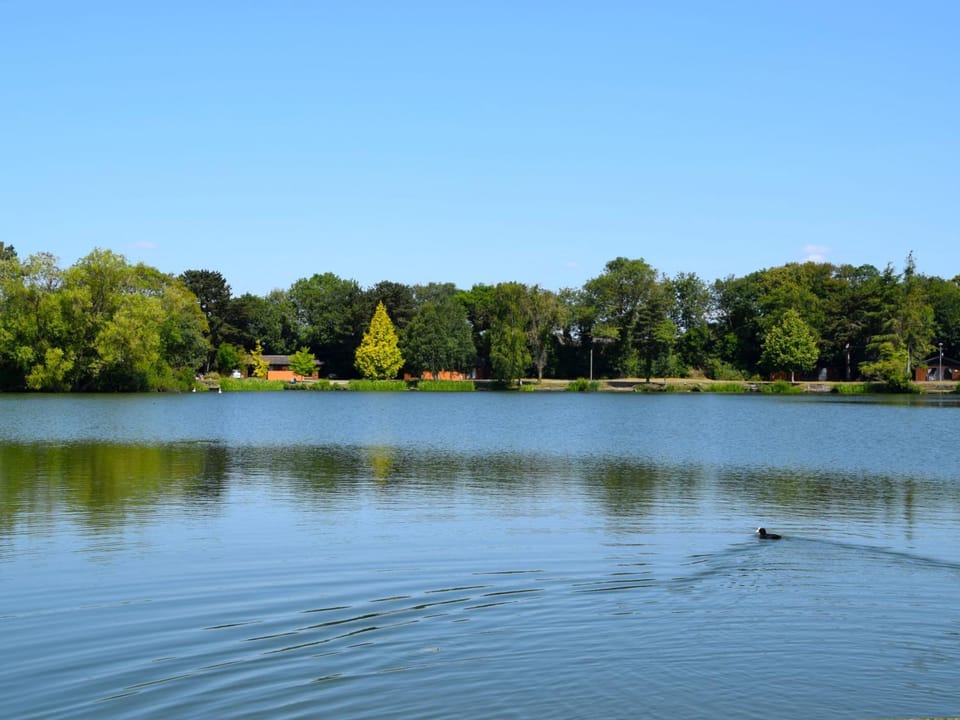 Property building, Lake view