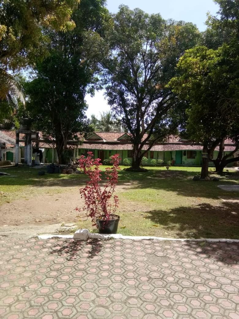 Game Room, Garden