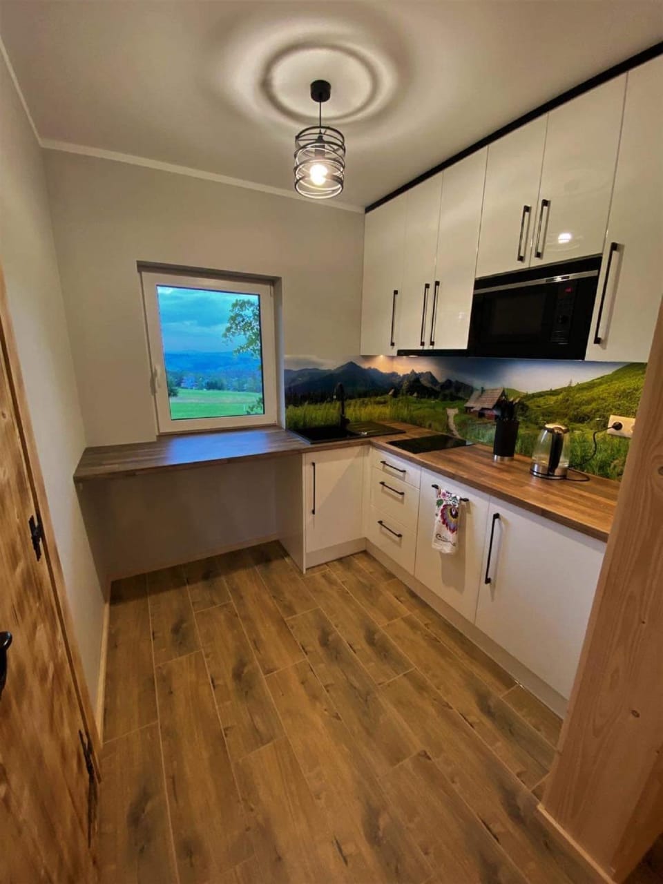 Kitchen or kitchenette, dishwasher, minibar, pet friendly, stove