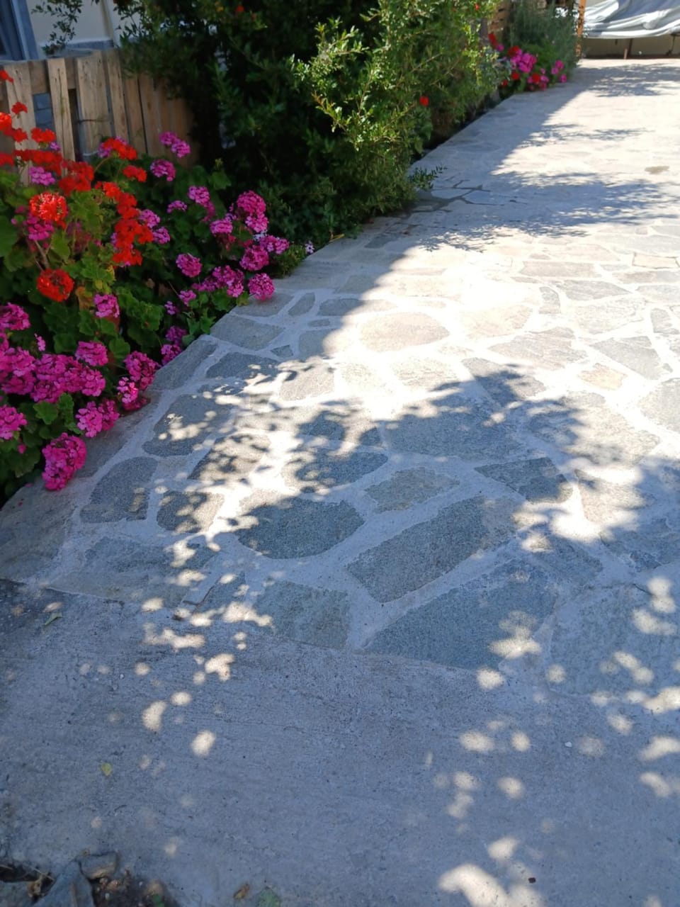 ALANA COZY PLACE Apartment in Limenaria