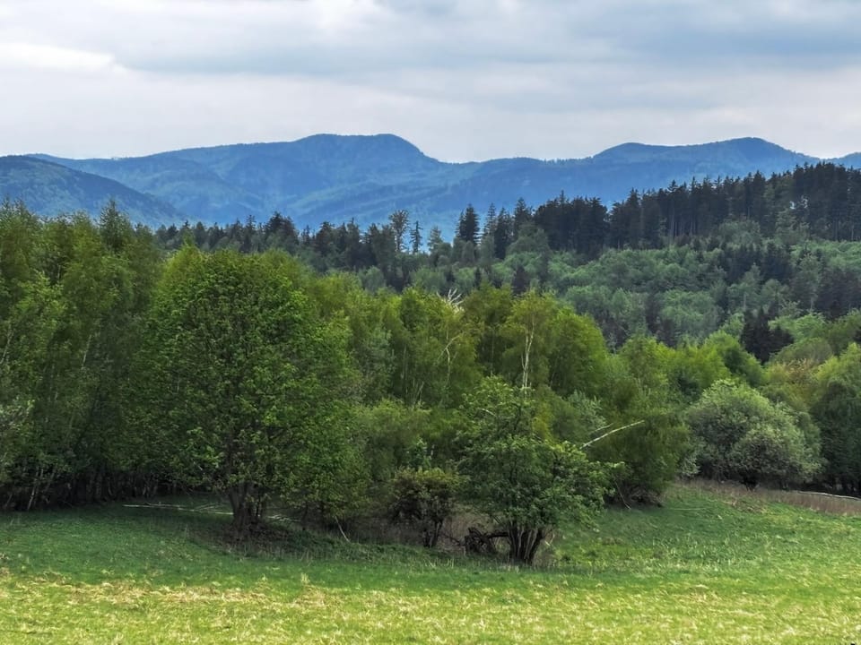 Antracytowe Domki w Górach Sowich House in Lower Silesian Voivodeship