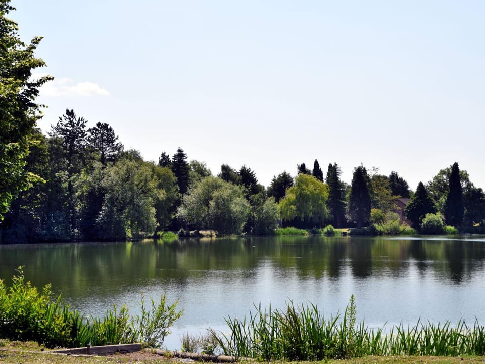 Property building, Lake view