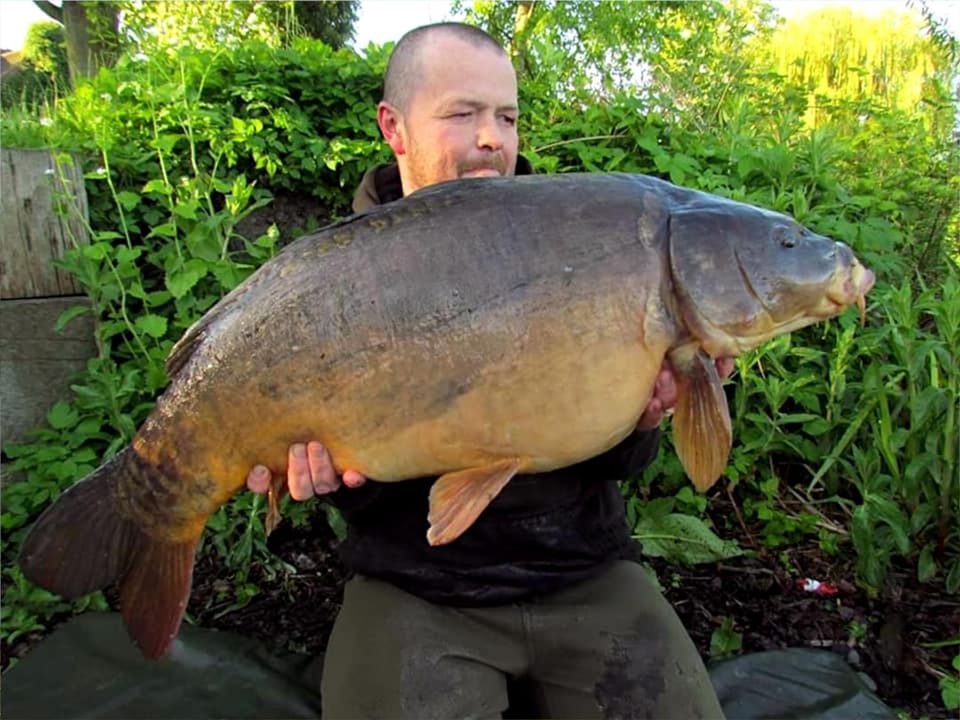 Property building, Fishing