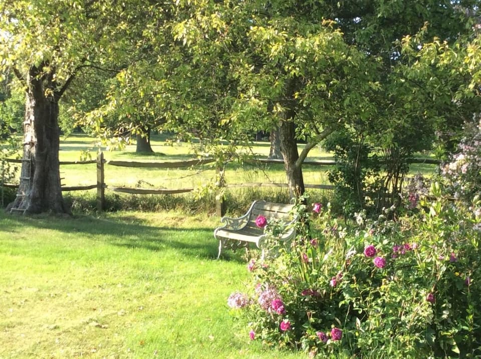 The Studio Bed and Breakfast in Wisborough Green