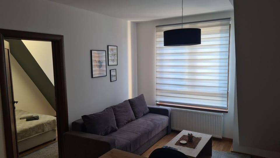 Divčinova 15 Apartment in Zlatibor District, Serbia