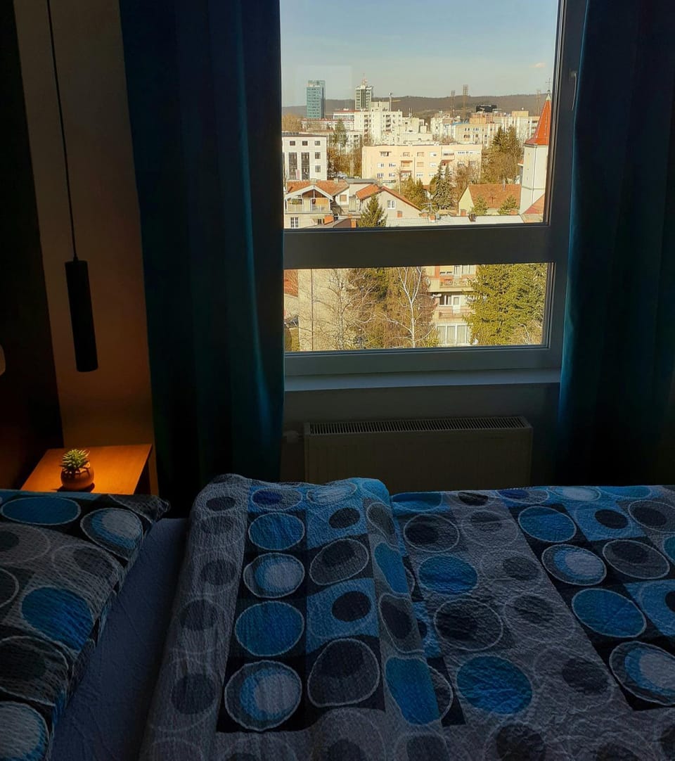 Downtown apartment Apartment in Bosnia and Herzegovina