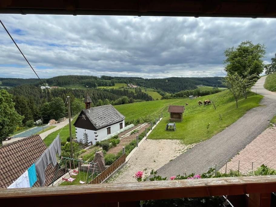 Natural landscape, Garden, Garden view, Mountain view