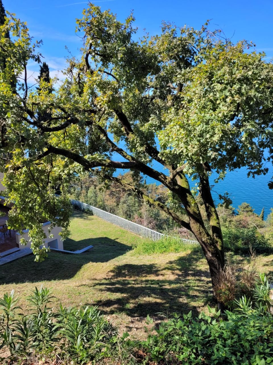 Garden, Lake view