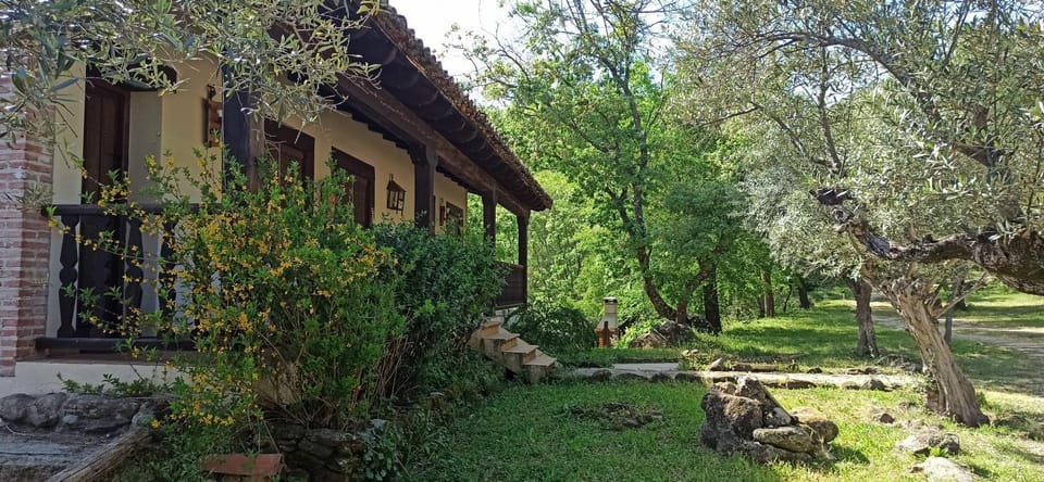 Property building, Garden, Garden view