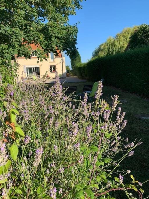 Maison du Cap - Audinghen - 10 personnes, jardin clôturé, plages House in Hauts-de-France