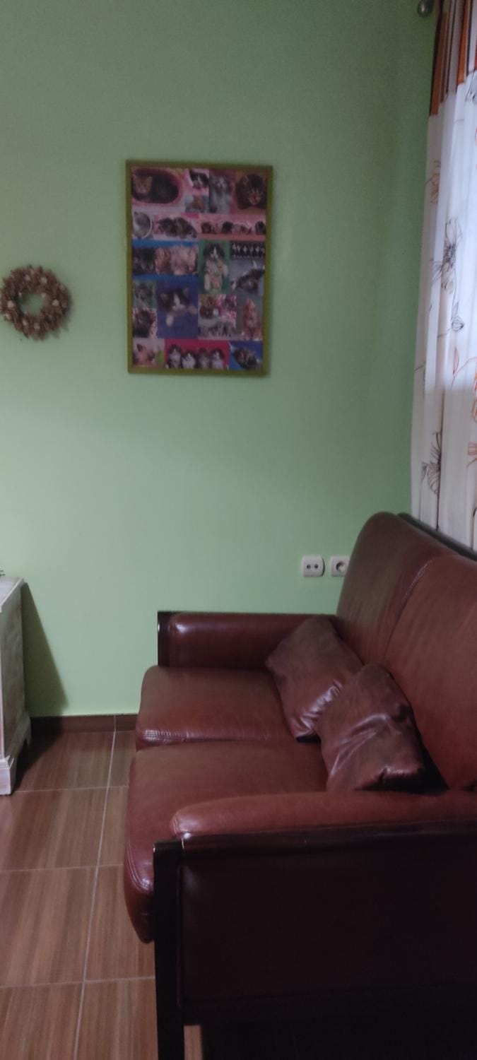 Alice house 3 Apartment in Euboea