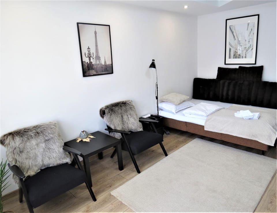 Apartament KOPERNIK X Apartment in Masovian Voivodeship