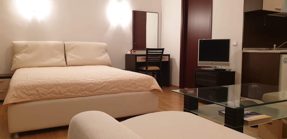 Charming Winter Studio Apartment in North Macedonia