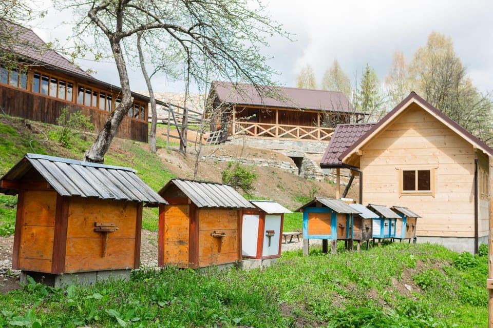Property building, Natural landscape, Garden, Garden view