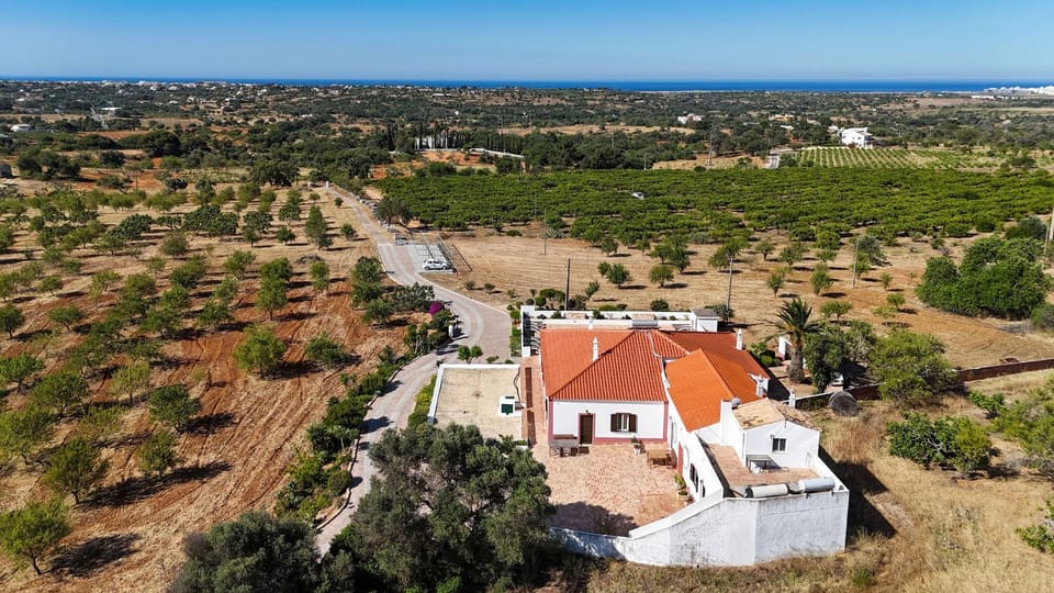 Property building, Bird's eye view
