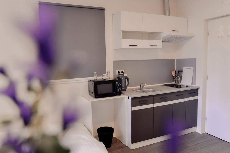 Kitchen or kitchenette, minibar, stove