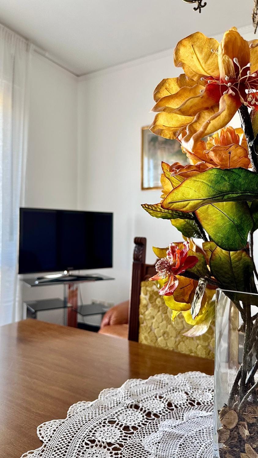 Communal lounge/ TV room, TV and multimedia, Living room, Seating area, Diving, Evening entertainment