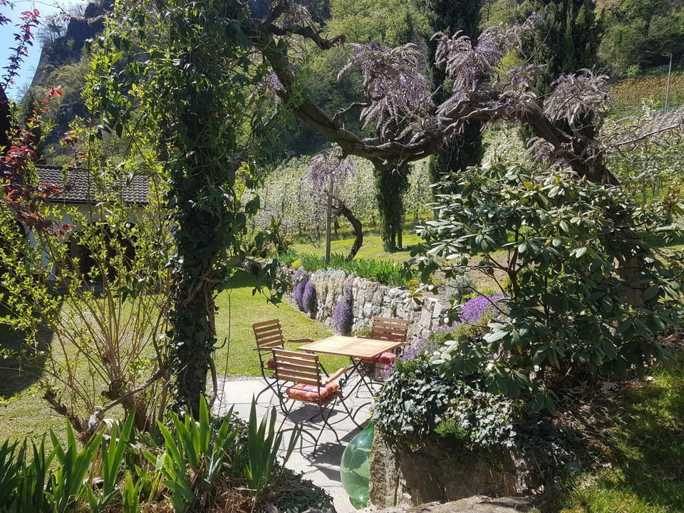 Spring, Garden, Garden, Garden view