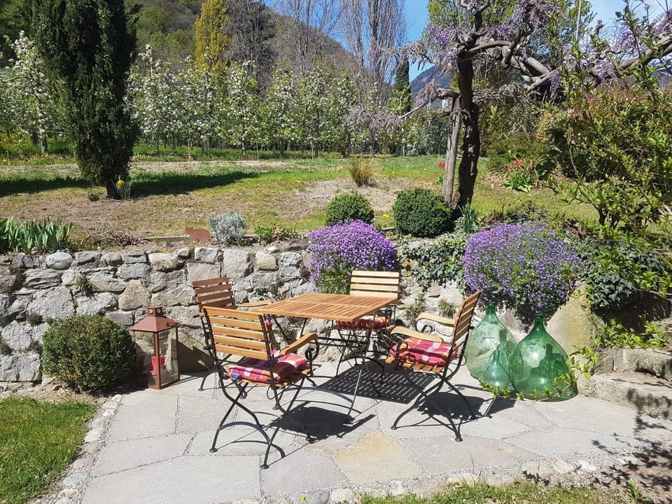 Patio, Spring, Garden view