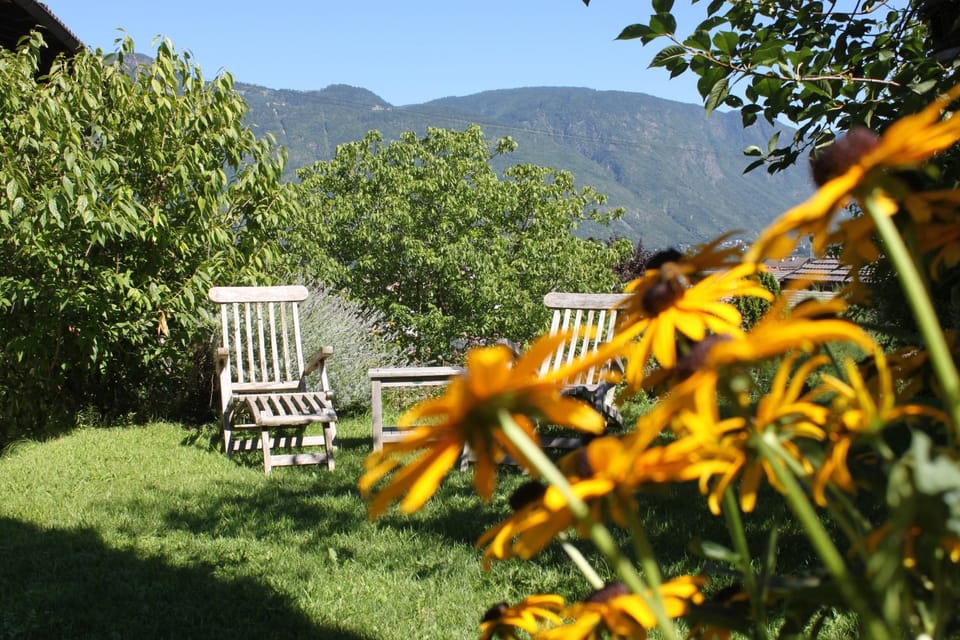 Natural landscape, Garden, Mountain view