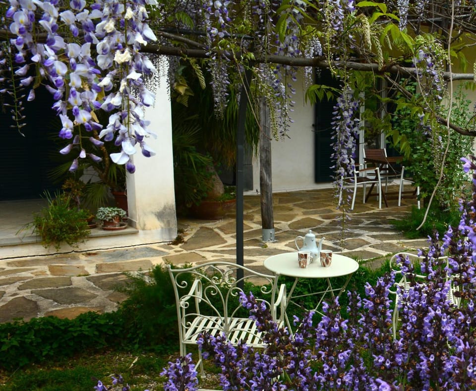 Patio, Spring, Day, Garden, Dining area, Garden view, Breakfast