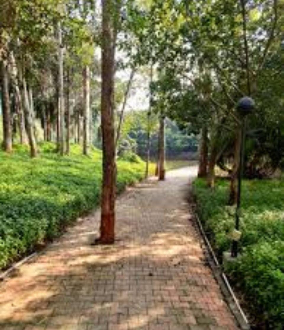 Natural landscape, Garden