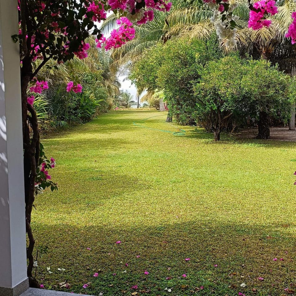 Natural landscape, Garden, Garden view