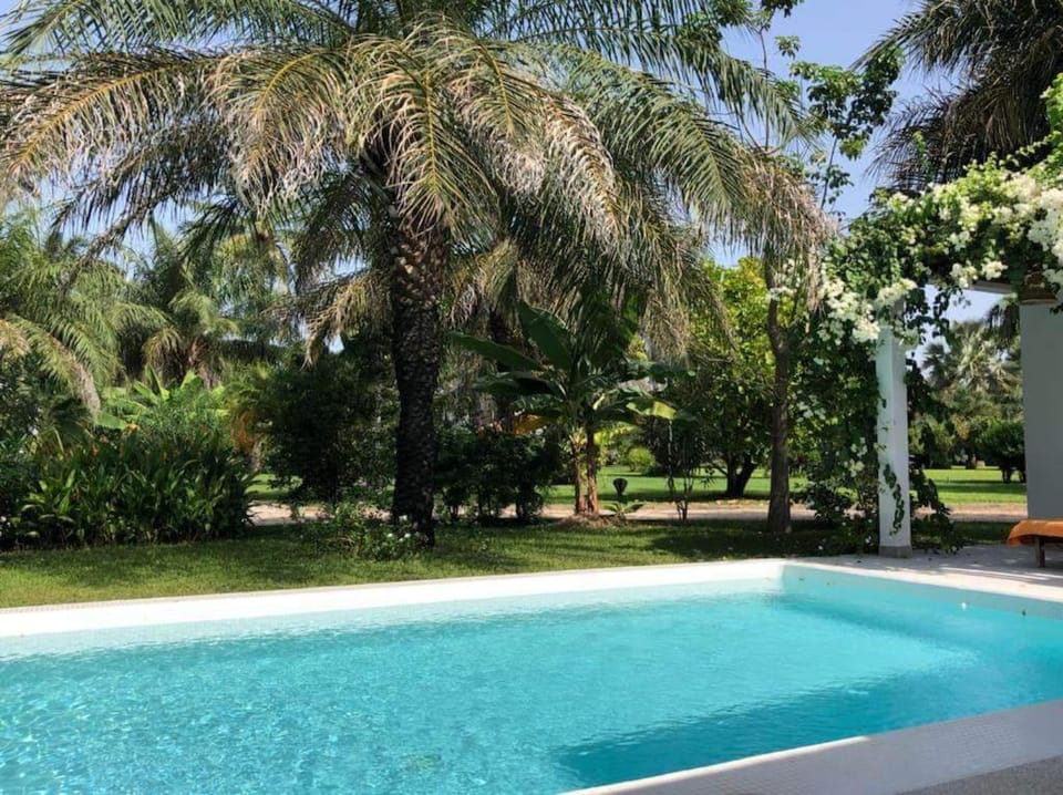 Pool view, Swimming pool, sunbed