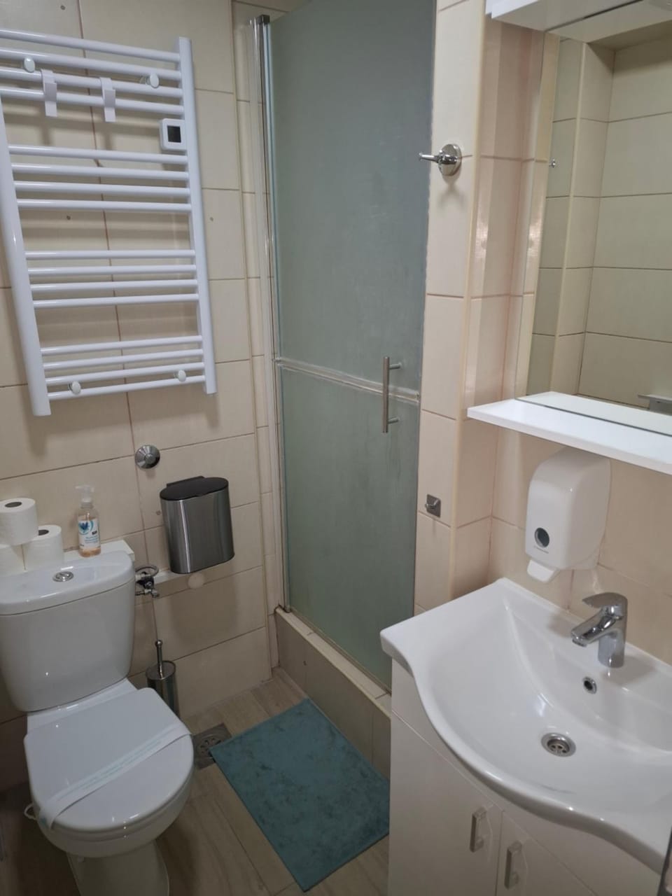 Shower, Toilet, Bathroom, Photo of the whole room, heating, towels