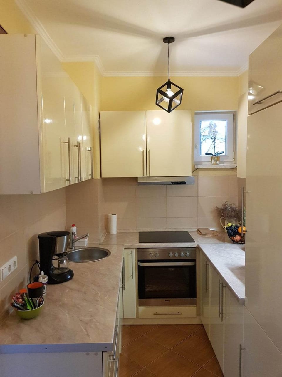 Kitchen or kitchenette, minibar, pet friendly, stove