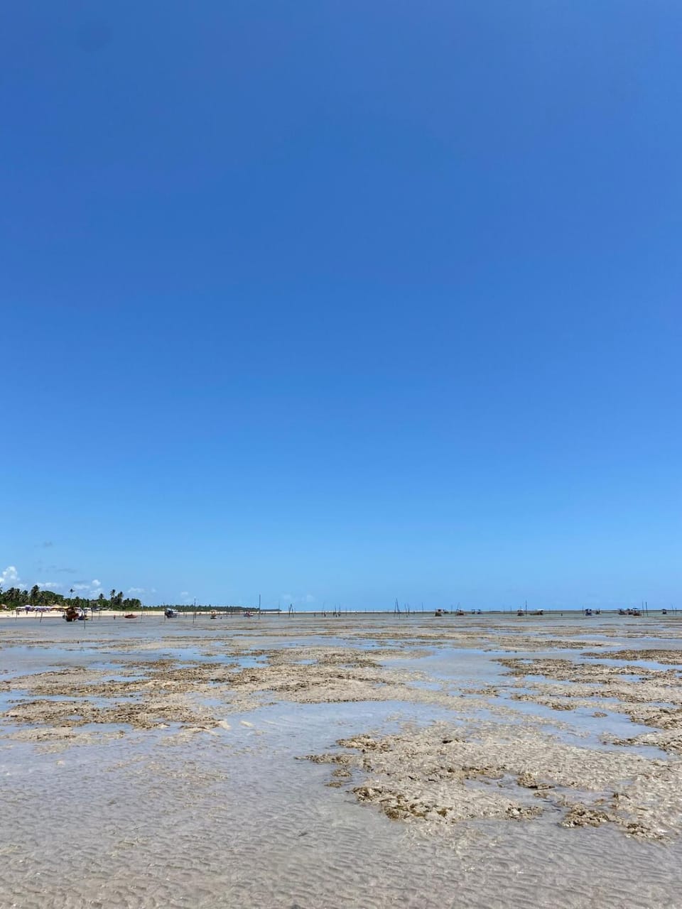 Nareia Casa Milagres House in State of Alagoas, Brazil