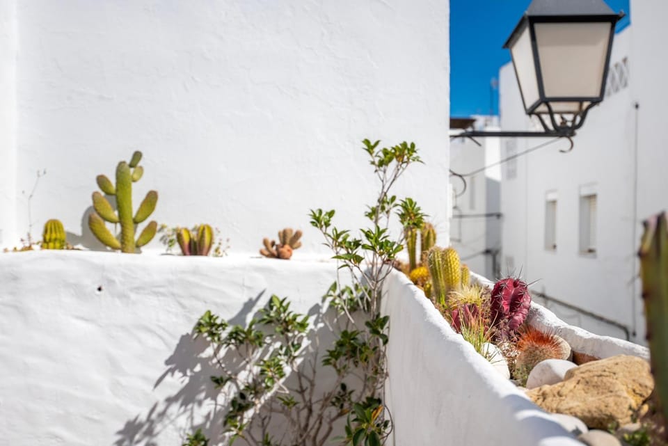 Casa de Romero House in Conil de la Frontera