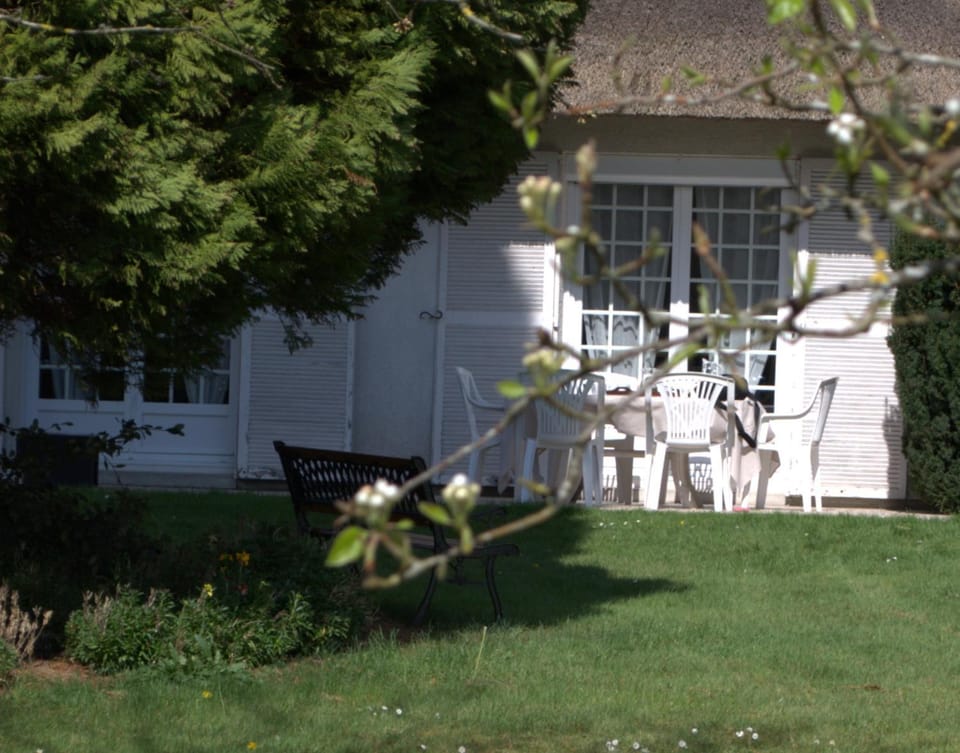 Day, Garden