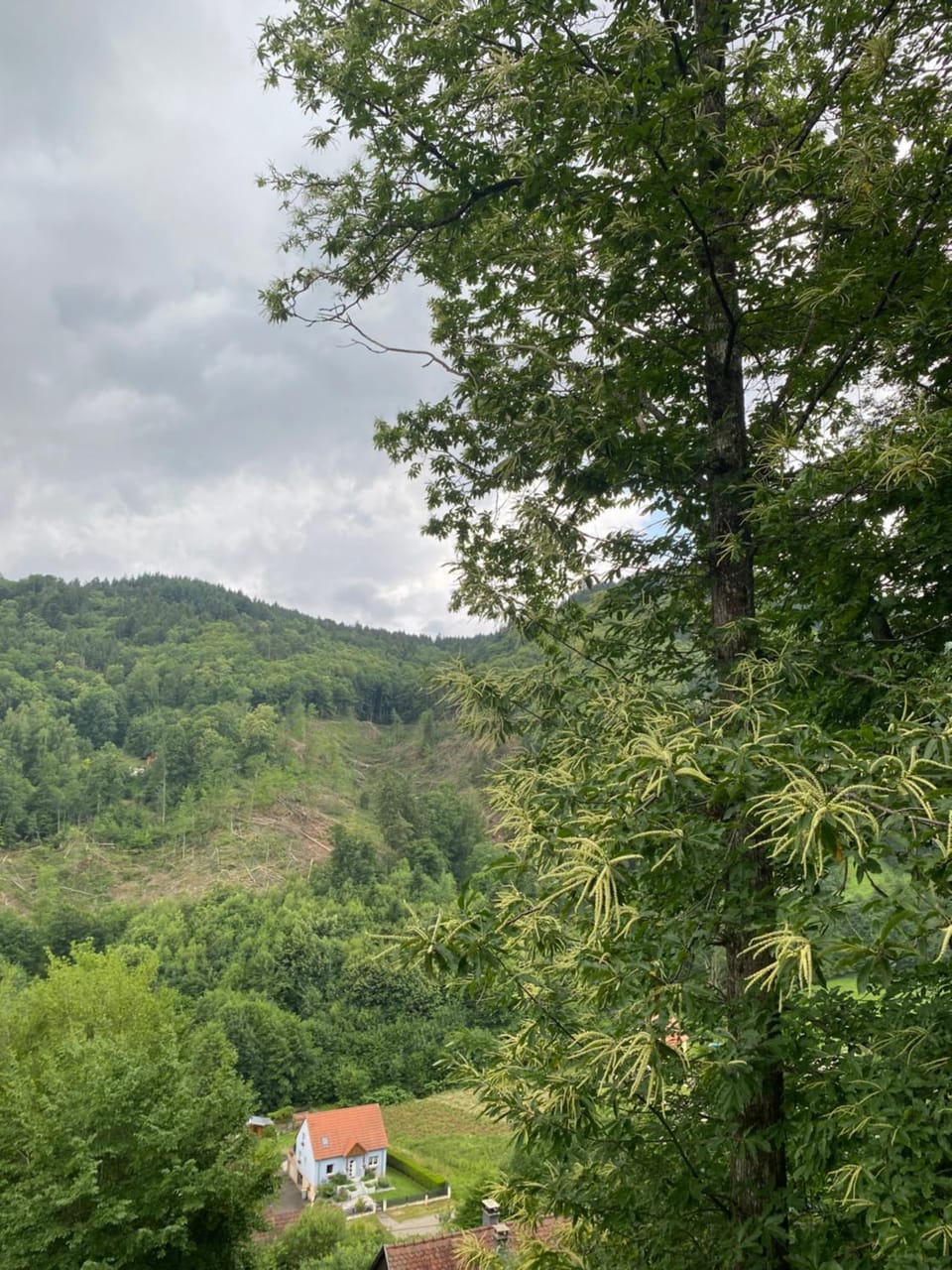 Mountain view