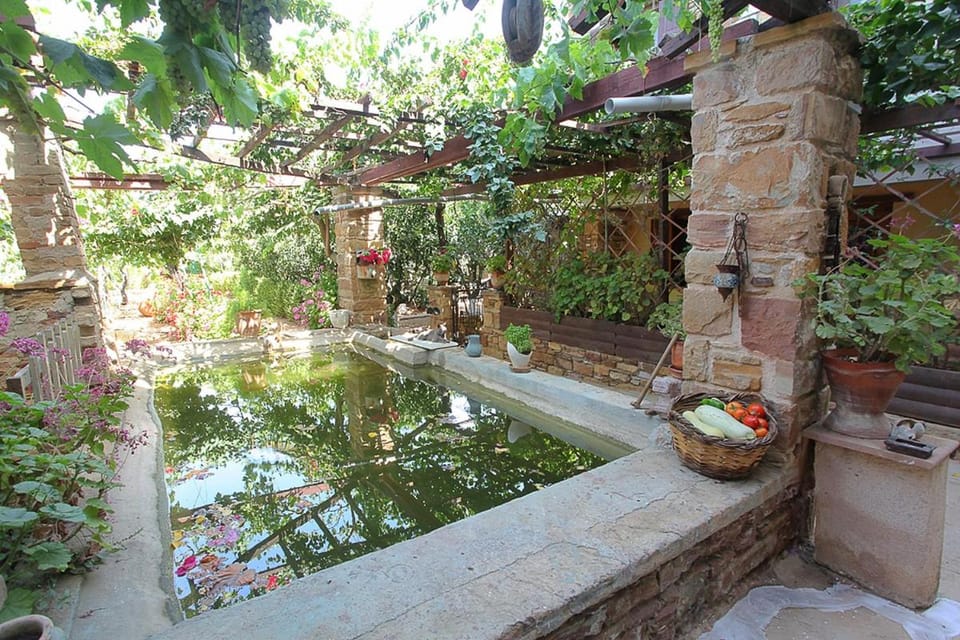 Day, Garden, Garden view