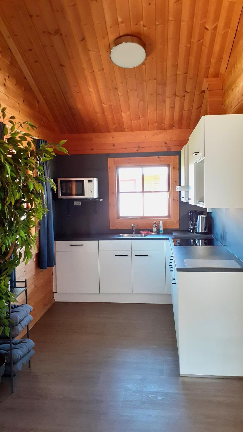 Kitchen or kitchenette, dishwasher, minibar, pet friendly, kitchen