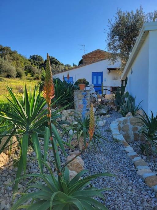 Appartamento Origano House in Sicily